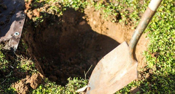  Préparation de la fosse pour la plantation de cerises