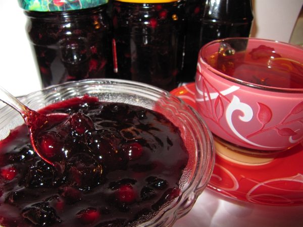 Confiture de prunes sauvages