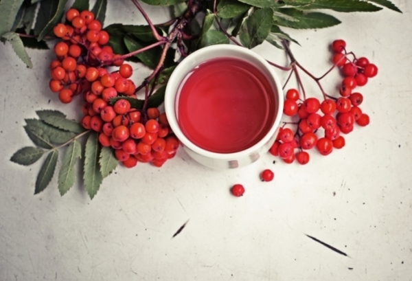 Чай с касис и роуд подобрява свойствата на имунната система, увеличава съпротивлението на тялото