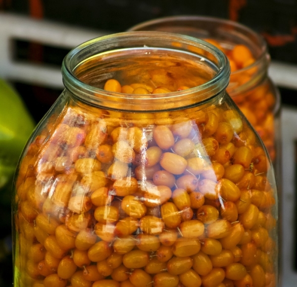 On obtient une longue durée de vie de l’argousier en stérilisant le produit, en préparant des compotes, des gelées, des confitures, etc.