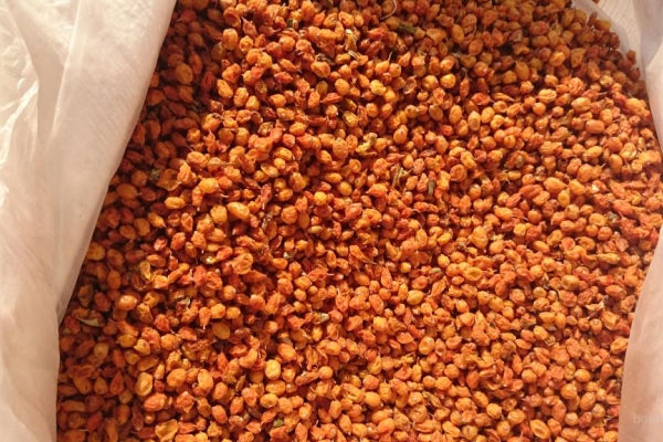 Séchés au four ou à la sécheuse, les fruits de l'argousier conservent la plus grande quantité d'éléments nutritifs