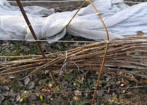 BlackBerry BlackBeat трябва да покрива за зимата