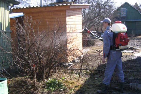Les produits chimiques sulfuriques sont utilisés pour lutter contre les acariens du rein.