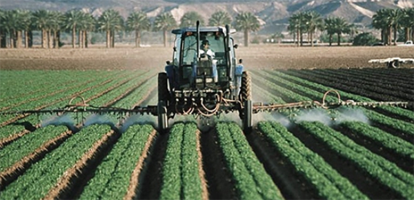 زراعة الفول السوداني الصناعي