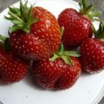 Strawberry garden Kent