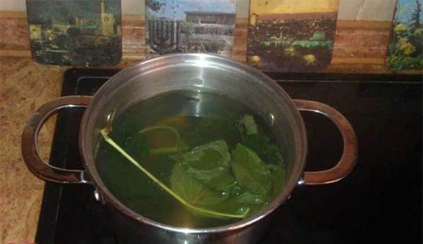 Johannisbeer-Dekokte werden häufig in der Prävention von Krankheiten eingesetzt.