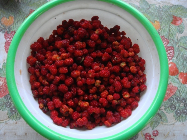 Strawberry Spinach is actively used by cosmetologists as an ingredient in face masks and creams.