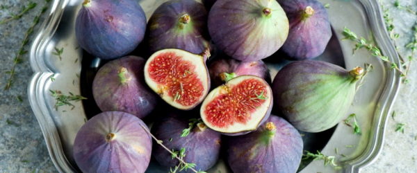 Récoltez les figues fraîches avant le traitement et le séchage