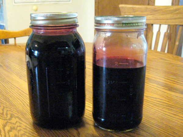 O xarope natural do doshab Mulberry deve ser espessa e não se espalhar