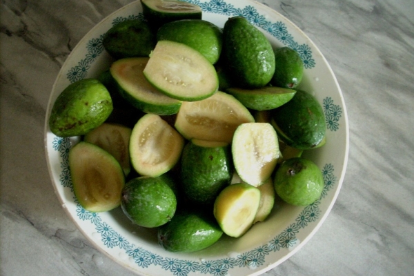 Feijoa grandit en Russie - en Crimée, à Krasnodar, en Géorgie, en Azerbaïdjan et en Ukraine