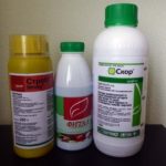 Fungicides for the treatment of rose spot