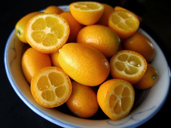 Kamkat meyvesi 4-7 diş