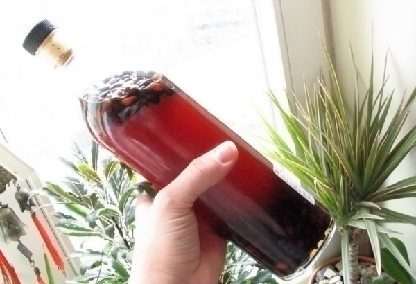 L'alcool de noix de pin ou la teinture de vodka sont utilisés pour traiter de nombreuses maladies.