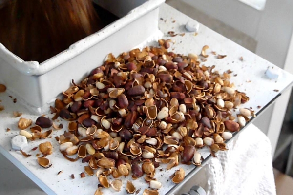 Pour séparer les noyaux des pignons de la coque, vous pouvez utiliser deux méthodes: chaud et froid