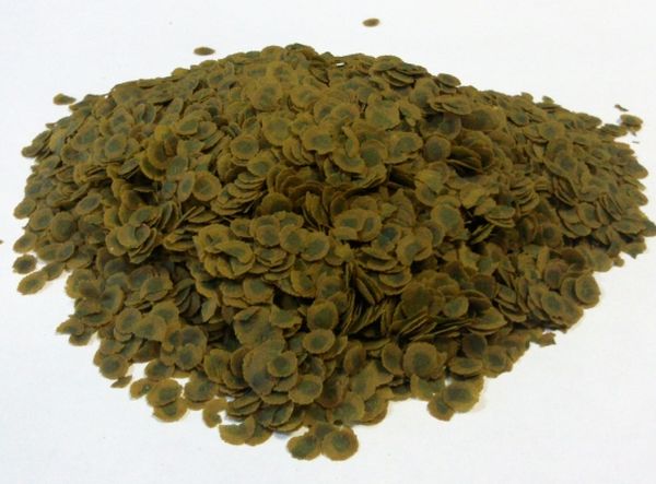 Dry duckweed can be used as a green top dressing.