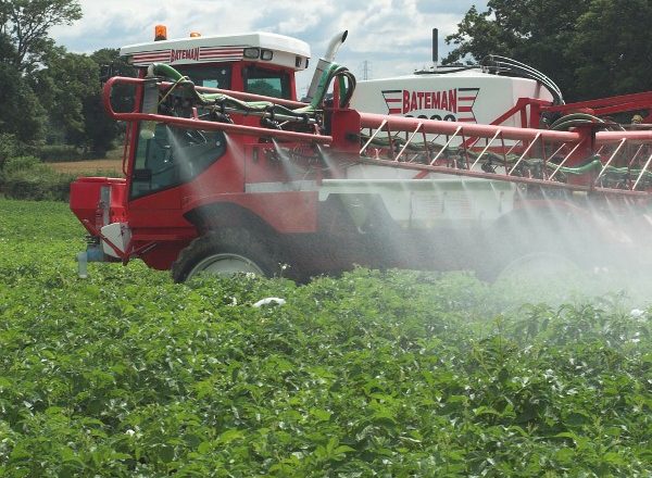 Combinez les pommes de terre saupoudrées avec des herbicides