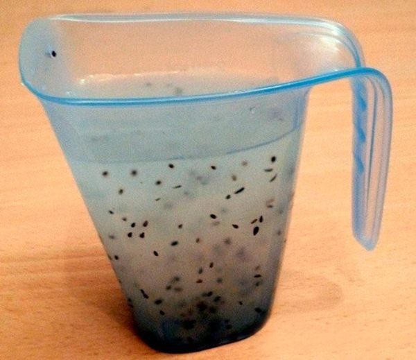 Verification of tomato seeds for germination