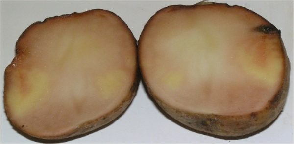 Σημάδια κατεψυγμένων πατάτας