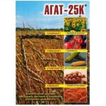 Agat-25K