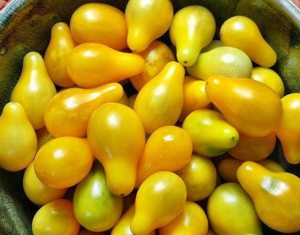 Noix de muscade blanche