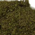 блато водна леща