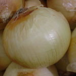 Oignons espagnols 313