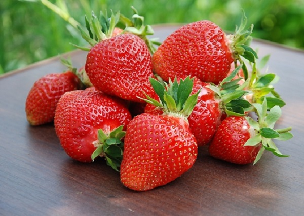  Ягодата на Клери