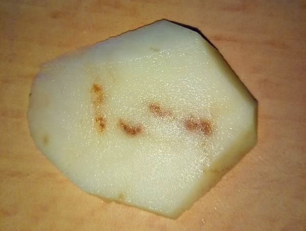 Brown spots in potato