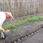 Shallow depth of landing