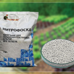 Νιτροφόζκα