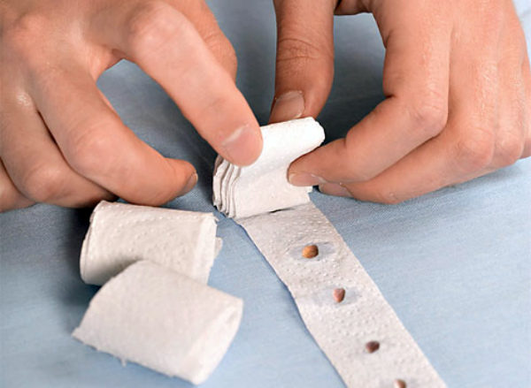 Semer des graines d'oignon sur du papier