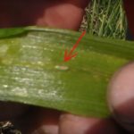 Признаци на щетите от лукавото летище