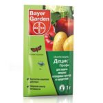 Moyens de protection des pommes de terre du scarabée coloracien Detsis