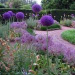 Декориране на парковите пространства