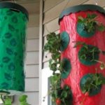 Καλλιέργεια φράουλες σε τσάντες κάθετα