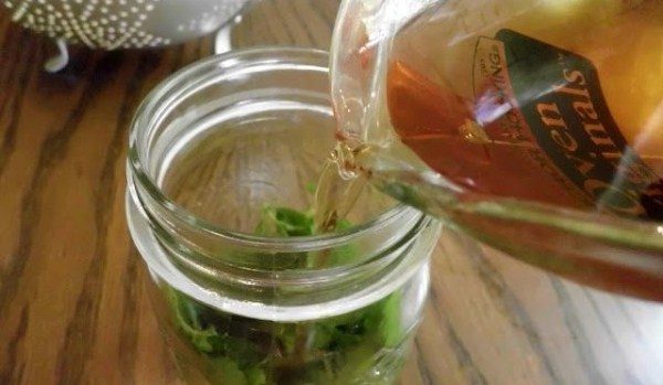 Για την προετοιμασία του βάμματος με βέλη, βολβοί και φύλλα κινεζικών κρεμμυδιών