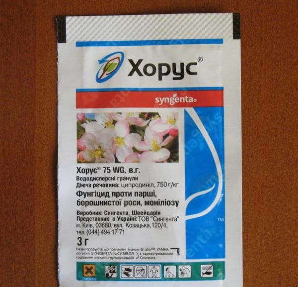 Για την πρόληψη ασθενειών που χρησιμοποιούν το Chorus φαρμάκου