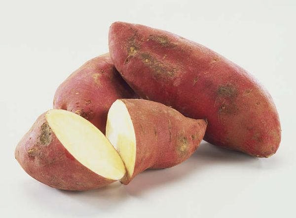 Sweet potato tubers are rich in healthy vitamins and trace elements.