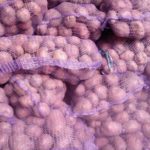 Le stockage devrait avoir lieu à une température d'environ 10 degrés.