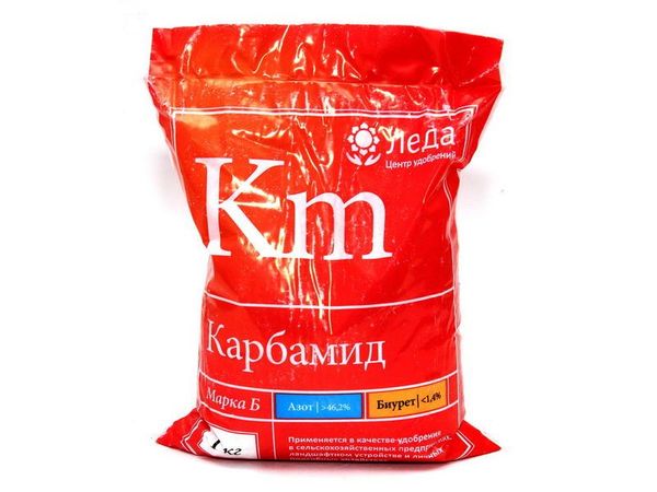 Urea come condimento di alto livello