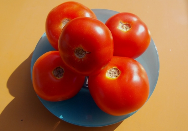 Le but des fruits est universel, peut être attribué aux variétés de desserts