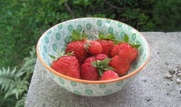 Strawberry first grader collected in plates