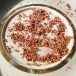 Durante la riproduzione, i semi vengono estratti dalla polpa essiccata.