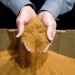 Η σκόνη καπνού προστατεύει από τις μυκητιακές ασθένειες