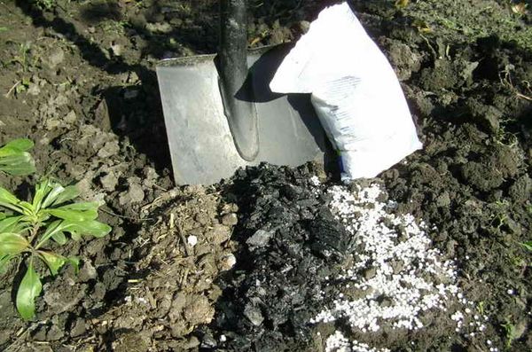 Είναι αδύνατο να εφαρμοστούν ταυτόχρονα ασβέστιο και βιολογικά λιπάσματα