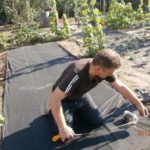 Markup can be done on agrofibre and poke dig holes.