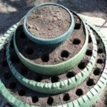 Tires are poured over the ground and holes are made in the ground for planting.