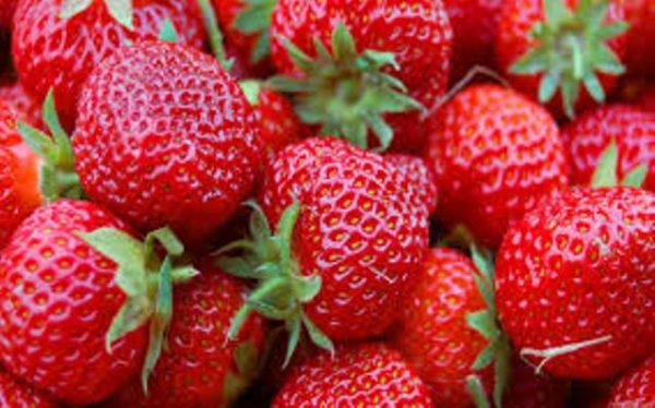 Φράουλα
