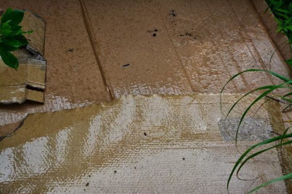 Paillage avec du carton