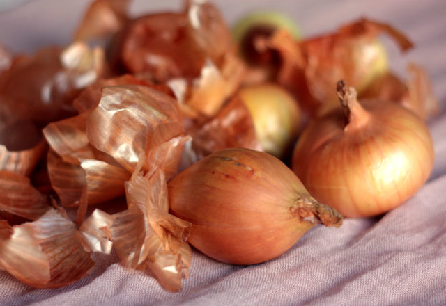  Casca de Cebola